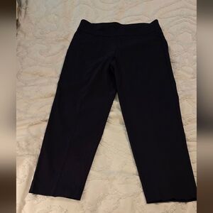 Ruby Road Women's Navy Pull On Pants, Size 16W (310)